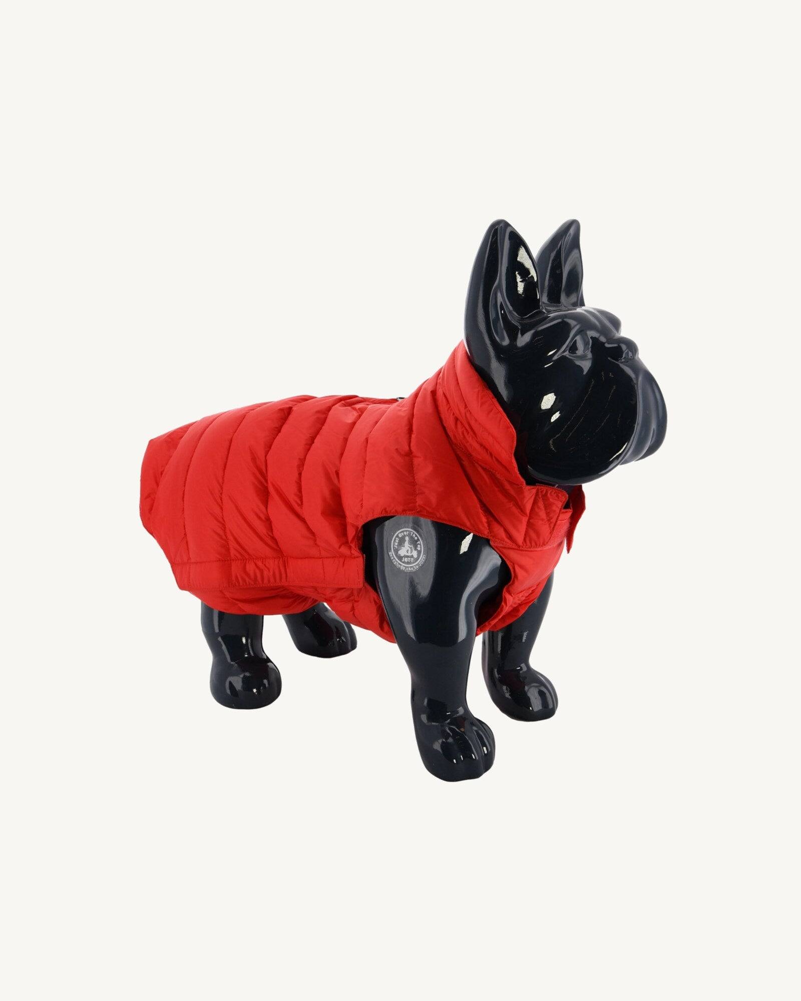 doudoune moncler chien